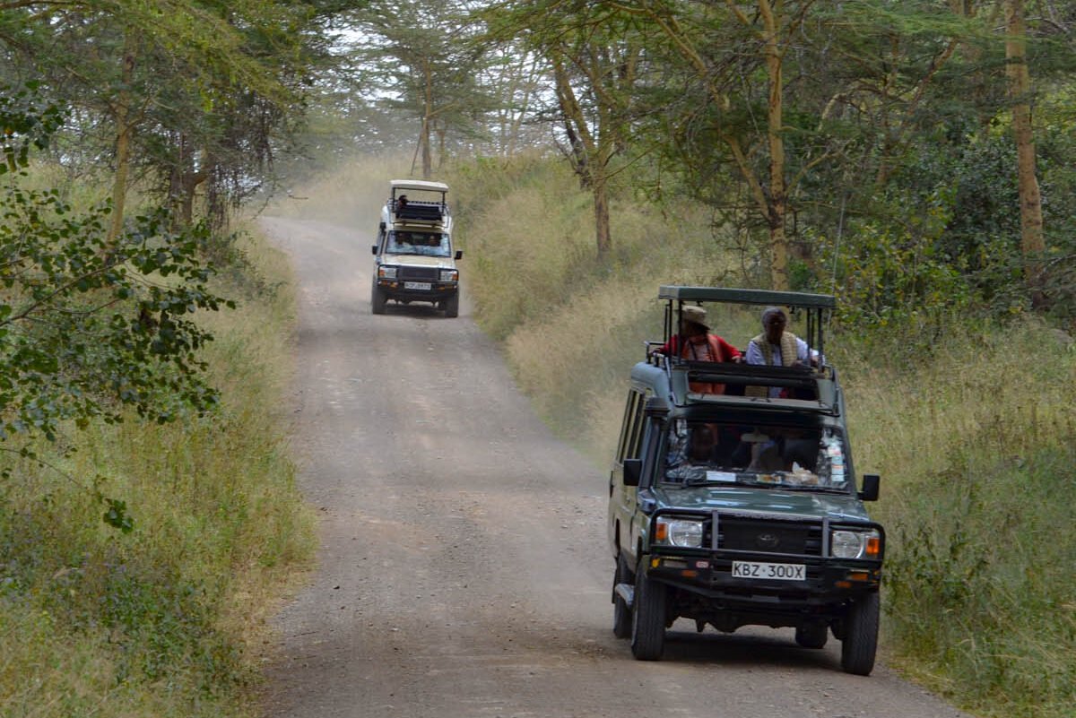 Geo-Nat  Africa Safaris