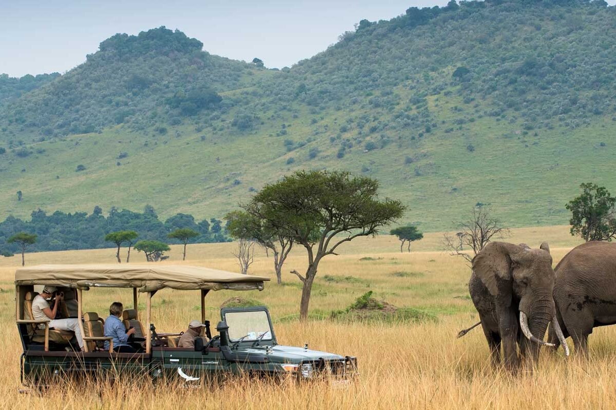 Geo-Nat  Africa Safaris