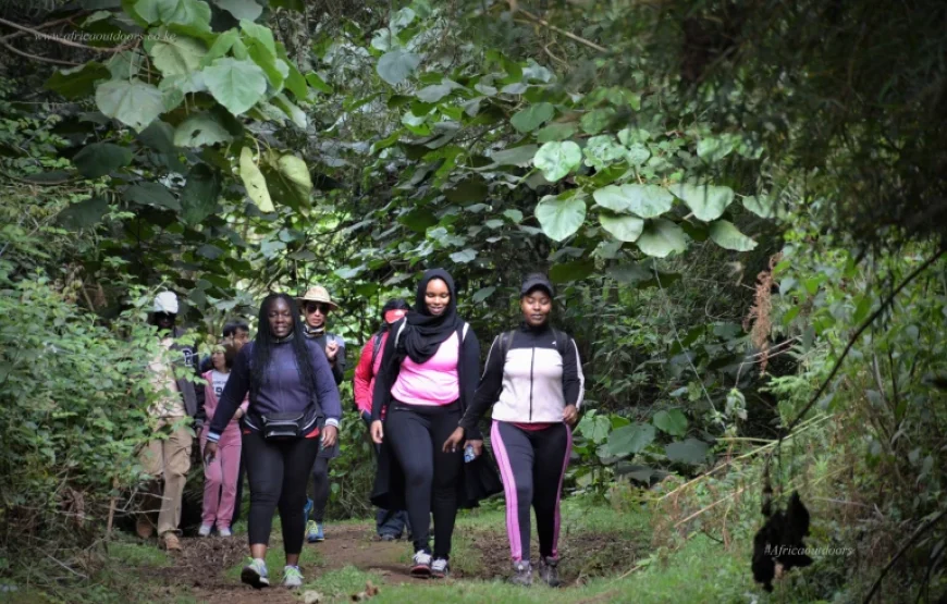 Discover Serenity in the Heart of Kereita Nature Trail